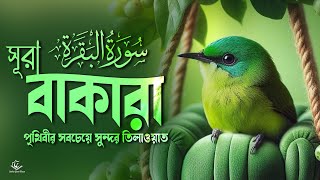 পৃথিবীর সবচেয়ে সুন্দর কণ্ঠে সুরা বাকারা তেলাওয়াত । Surah Al Baqarah (سورة البقرة)  | NICE RECITATION