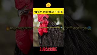 🤔অবাক করা 3টি অজানা তথ্য part -33 #অবাক