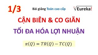 Giải tích 4.1 Ứng dụng trong kinh tế: Giá trị cận biên, hệ số co giãn và tối đa lợi nhuận