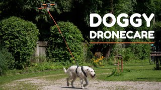 IAA MOBILITY 2021 – Doggy Dronecare Teaser