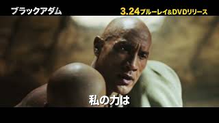 BD/DVD/デジタル【予告編】『ブラックアダム』3.24リリース