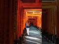 Autumn moments in Kyoto Japan 🍂 #travel #kyoto #japan #photography