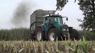 Lohnunternehmen Scholten maishakselen. CLAAS JAGUAR, FENDT