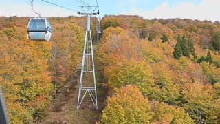 ゴンドラからの景色最高！　森吉山で紅葉が見頃に