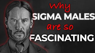 Why Sigma Males Are So Fascinating (Sigma Male Rarity)