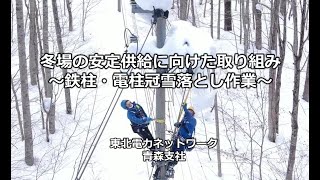 冬場の安定供給に向けた取り組み～鉄柱・電柱冠雪落とし作業～【青森支社】