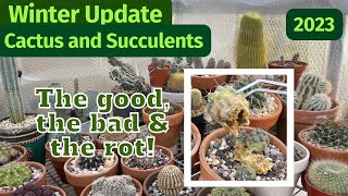 Part 2 Cactus and Succulent Collection Winter Update