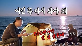 [제6화 또 가고싶은 캠핑장] 사목공원 캠핑장 2부, 다시찾아온 고양이