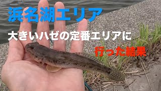 【ハゼ釣り】浜名湖エリア 大きいハゼ狙ってきたけど・・・ 2023.10.03