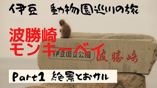 【伊豆　動物園巡りの旅】波勝崎モンキーベイ編(Part1)