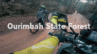 Ourimbah State Forest | Adventure Bike Riding 800MT | Plus Bonus MTB kids track | in 4k |Episode 30