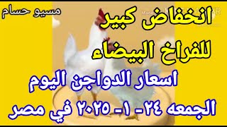 اسعار الفراخ البيضاء اليوم اسعار الدواجن اليوم الجمعه 24-1-2025 في مصر