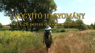 Gyógyító Hagyomány