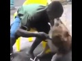 KISSING A DOG. AAA