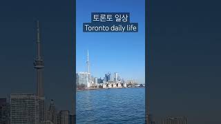 토론토 일상 호수 구경하기 toronto daily life watching a lake. #shorts #short #shortsvideo #캐나다 #토론토 #유학