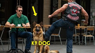 Biker Kicks Blind Man’s German Shepherd as a Joke—Not Knowing It’s a K9 Unit!