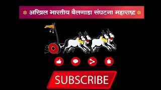 देहुगावचा घाटाचा राजा राजुशेठ वसंतराव जवळेकर वाफगाव ,12 सेकंद 06 मिली पॉईंट