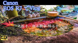 【4K】光明寺・柳谷観音 楊谷寺 2022紅葉ー#光明寺#楊谷寺＃京都