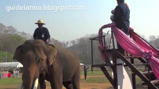 ช้างใส่บาตร วันช้างไทย Elephants make merit at Lampang province,Thailanf