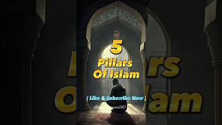 5 Pillars Of Islam #islamicvideo #islamicshorts #viral #trending #time #ytshorts #youtubeshorts