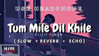 Tum Mile Dil Khile [Slow+Reverb] : Arijit Singh Version | Hindi Lo-fi Songs