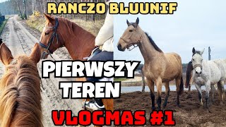 VLOGMAS #1 / PIERWSZY TEREN BAJKI / KARMIE KONIE / KOTKI