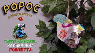 DIY Jaguar Warrior Poinsettia Sphere | Esferita Guerrero Jaguar de Nochebuena / Cuetlaxochitl