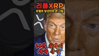 리플(XRP) 곧 140,000원 된다, 왜?