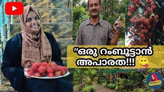 ഒരു റംബൂട്ടാൻ തൈ വാങ്ങാൻ പോയപ്പോൾ ഞാൻ കണ്ടു പിടിച്ച ഫാമുകൾ.👌. പരിസ്‌ഥിതി നമ്മുടെ സമ്പത്ത്