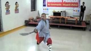 GRANDMASTER-SHIFUJI-PLAYING-WITH-SWORD-SHIFUJI'S-FUSION-KUNG-FU