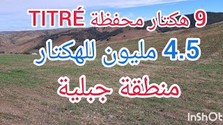 9 هكتار محفظة أرض جبلية لعشاق زراعة الزيتون 4.5 مليون للهكتار 06.93.05.92.05