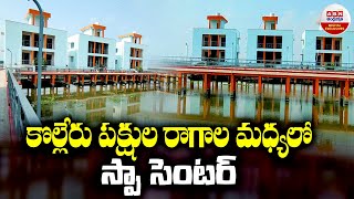 Kolleru Resort in Eluru : ﻿కొల్లేరు పక్షుల రాగాల మధ్యలో స్పా సెంటర్ | ABN Digital Exclusives