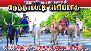 சிவகங்கை மாவட்டம் தேத்தாம்பட்டி-பெரியமாடு-பந்தயம்_22.06.2024