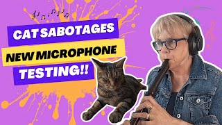 Cat is determined to sabotage the testing of my new microphone!