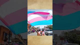 History of the LGBT+ Pride Flag: A few others, too! - ITC #Shorts - Gay TikTok