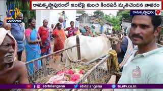 Villagers Performed Monkey Funeral grandly |Jayashankar Bhupalpally | వానరానికి ఘనంగా దహన సంస్కారాలు