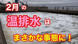 2月の温排水はまさかの事態に！知多半島 釣り