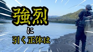 【シーバス釣行番外編】釣り人あるある！とんでもない巨体魚が釣れてきた！