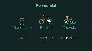 What Are Polynomials؟ ¦ Algebra Maths FuseSchool