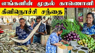 சந்தைக்கு போகவே பயமா கிடக்குது | Kilinochchi market | vanni vlog