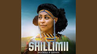 Shilimii