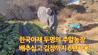 [LEDF] 주말농장 도시텃밭 아저씨 둘이서 배추 키우고 김장 하기 _Making Kimchi with Korean Uncle Weekend Farm Cabbage /S6 #1