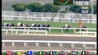 [HKIR 2013] DOMINANT grabs the LONGINES Hong Kong Vase