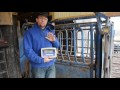 setting up a cattle scale system from a kit