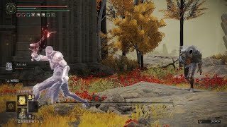 骨灰代打 「黑刀」狄希 VS 黑刀刺客 PS4 艾爾登法環 ELDEN RING 二周目 外鄉人打法