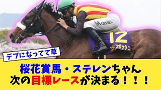 【競馬】桜花賞馬・ステレンちゃん、次の目標レースが決まる！！！【反応集】