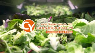 【直擊香港本地蔬菜水果加工過程】CY Food - 日新帶您參觀 「自家蔬果加工工埸」