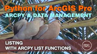 ArcPy List Functions | Guide & Reference | Python for ArcGIS Pro