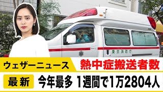 1週間で熱中症搬送者数1万2804人　今年最多　うち高齢者7914人で全体の6割