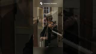 Paganini: Caprices, Op. 1, No. 16 (François Pineau-Benois) #Shorts 3